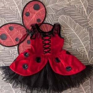 Charming Ladybug Dress-Up Costume for Kids